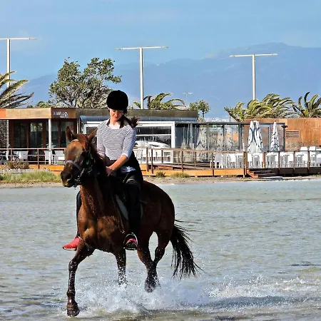 Collegio * 卡利亚里