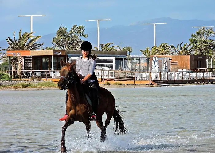 Collegio * كالياري